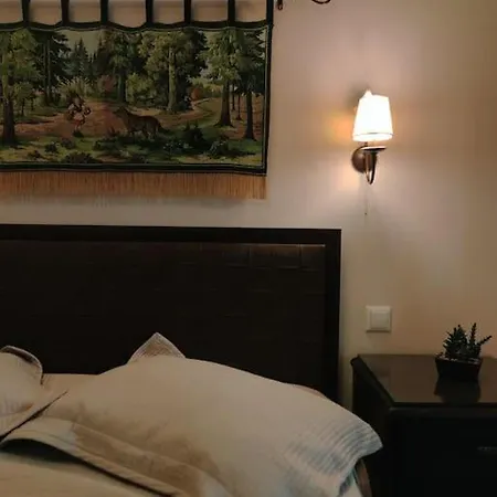 Villa Central Stone House Elati (Trikala)