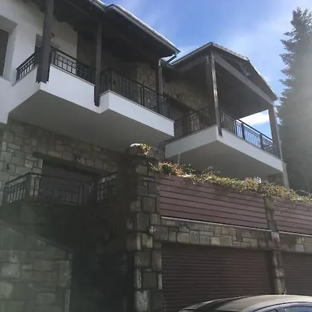 Central Stone House * Elati (Trikala)