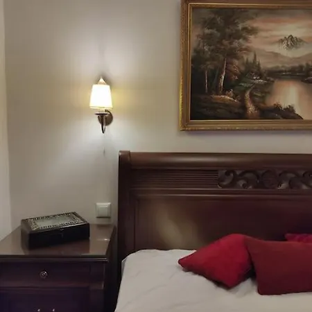 Villa Central Stone House Elati (Trikala)